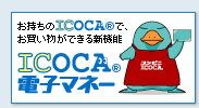 bannar icoca