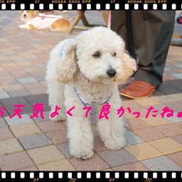 画像 ２００８年　遠足♪　土岐プレミアムアウトレット！！ の記事より 18つ目