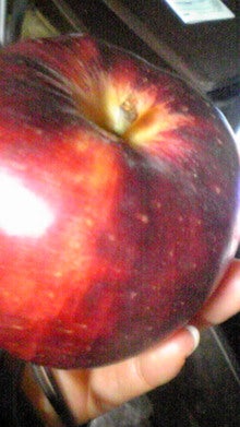 DVC00088.jpg