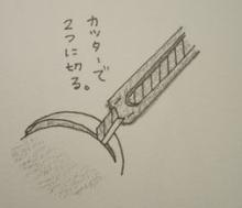 パカッと
