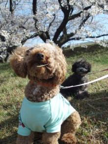 海老蔵君＆カール君
