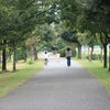 上堰潟公園の画像