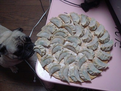 手作り餃子!