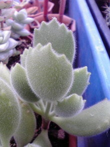 2008082210100000.jpg
