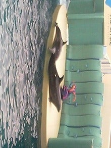 080302_160843_M.jpg