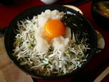 シラス丼大盛り！