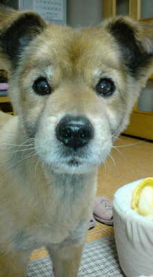 20080331223519_06.jpg