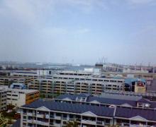 200605051222000.jpg