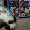 ２月だよの画像