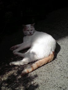2008082714180000.jpg