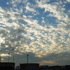???なんか・・・の画像