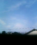 070804_080506.JPG