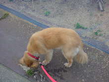 20080516061120.jpg
