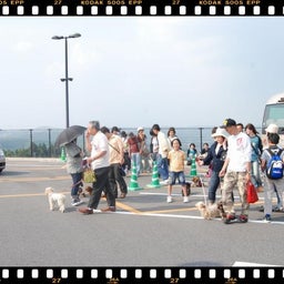 画像 ２００８年　遠足♪　土岐プレミアムアウトレット！！ の記事より 1つ目