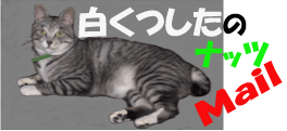 白くつしたのナッツメール