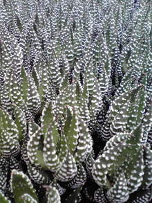 2008082210380000.jpg