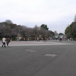 ♪レゲエシンガー ”ACCO”のMｙLife♪