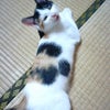 みんな　への画像