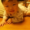 ８ケ月になりましたの画像