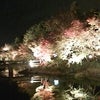 なばなの里その④の画像