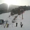 ｹﾞﾚﾝﾃﾞ☆の画像