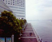 200605141125000.jpg