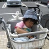 むすめの画像