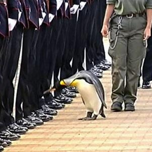 靴の日の画像