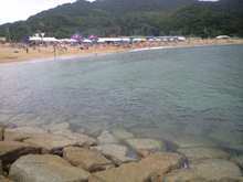 CA391503.JPG