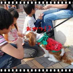 画像 ２００８年　遠足♪　土岐プレミアムアウトレット！！ の記事より 3つ目
