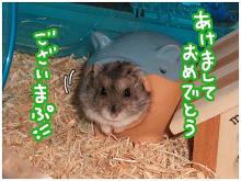 心理カウンセラーRIKOのブログ