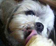 まむまむまむ-2008120413490000.jpg