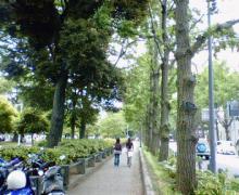 200606041059000.jpg