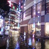 今日はのんびりの画像