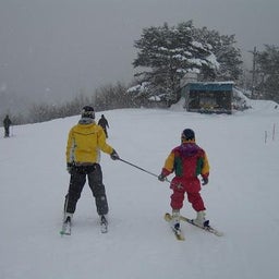 お気楽なワタシの日常