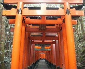 ハチの日記-200902121522000.jpg