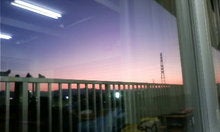 ﾟ+･ＲｙＯ'ｓ*ＢＬＯＧ.゜-081219_1650~01.JPG