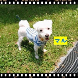画像 ２００８年　遠足♪木曽三川公園！！ の記事より 15つ目