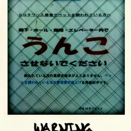 tec ★ rock steady-photo.jpg