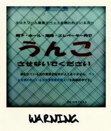tec ★ rock steady-photo.jpg