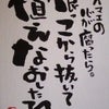 後少し、後少し～no.74～の画像