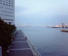 200606241820000.jpg