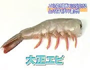 裏技０２