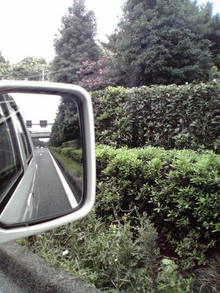 2008090708220000.jpg