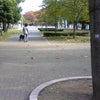 爽やか風景の画像
