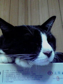 2008101322460000.jpg