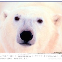 ブログ投稿画像
