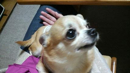 ＲＩＥのＢＬＯＧ-まゆげ