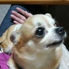 今年はよい一年になるそうですの画像