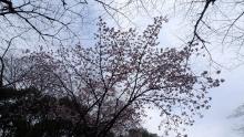 ♪レゲエシンガー ”ACCO”のMｙLife♪